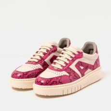 Skate tenisky#1777 SNAKE FUXIA-CREAM/BELLEVILLE