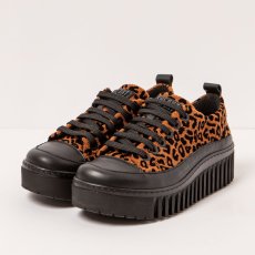 Designová obuv#1518S FANTASY JAGUAR-BLACK/BRIGHTON