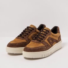 Skate sneakery#1777S SILK SUEDE TOFFEE-CHOCOLATE/BELLEVILLE
