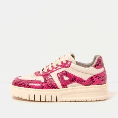 Skate tenisky#1777 SNAKE FUXIA-CREAM/BELLEVILLE